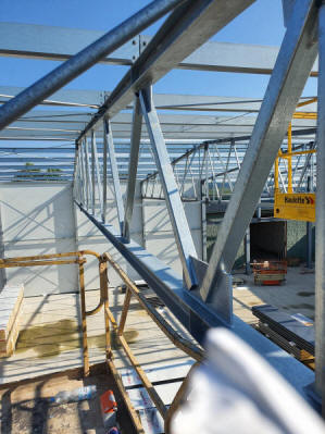 هياكل الصلب